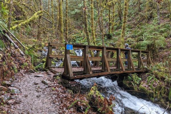 This Gentle Oregon Forest Trail Takes You to Two Waterfalls in Under a Mile With Barely Any Climbing