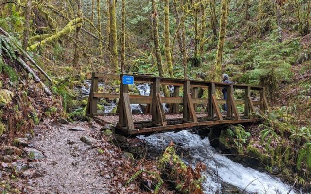 This Gentle Oregon Forest Trail Takes You to Two Waterfalls in Under a Mile With Barely Any Climbing