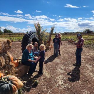 This Arizona Family Farm Has a Real Pick-Your-Own Pumpkin Patch and Corn Mazes So Fun Families Come Back Every Year