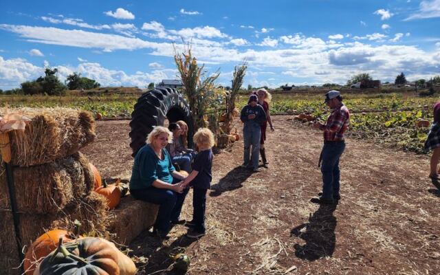 This Arizona Family Farm Has a Real Pick-Your-Own Pumpkin Patch and Corn Mazes So Fun Families Come Back Every Year