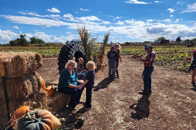This Arizona Family Farm Has a Real Pick-Your-Own Pumpkin Patch and Corn Mazes So Fun Families Come Back Every Year