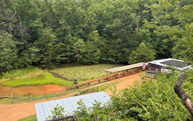 Shark Teeth, Quartz, and Real Gemstones Turn Up at These 7 North Carolina Treasure-Hunting Spots