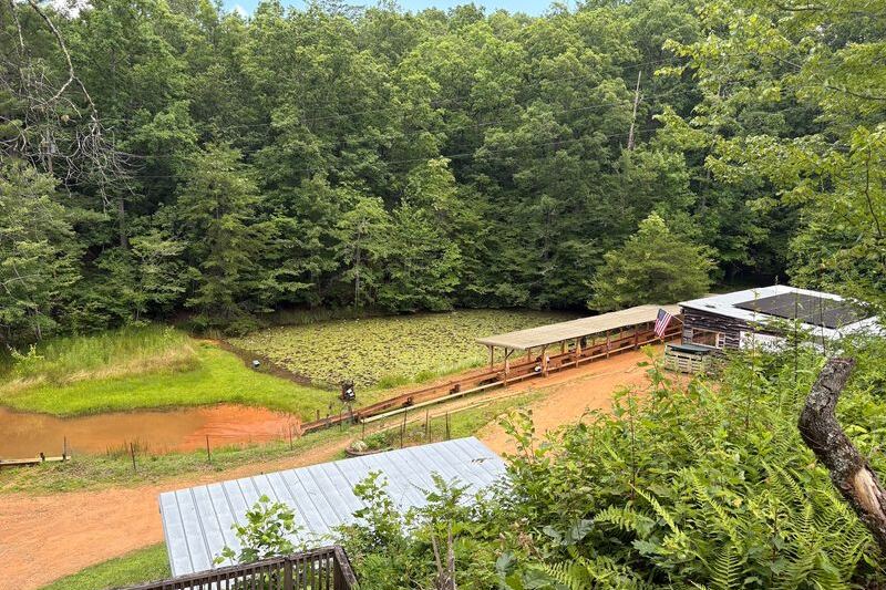 Shark Teeth, Quartz, and Real Gemstones Turn Up at These 7 North Carolina Treasure-Hunting Spots