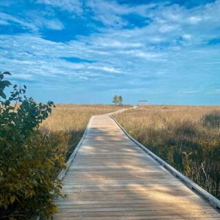 12 Lake Erie Coastal Trail Stops That Make An Ohio Fall Drive Feel Like The Main Event
