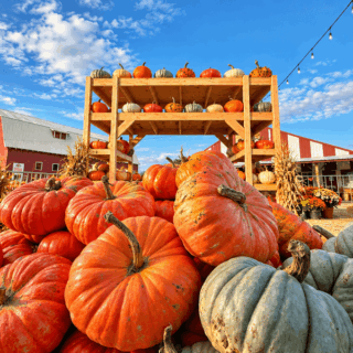 Pick Your Own Pumpkins and Wander a Corn Maze at This Oregon Farm on Sauvie Island