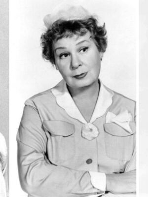 15 TV Butlers and Housekeepers Who Were Secretly in Charge of Everything