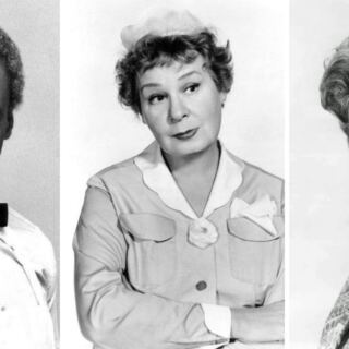 15 TV Butlers and Housekeepers Who Were Secretly in Charge of Everything