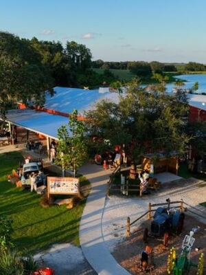 6 Florida Orange Groves Where Fresh Citrus and Orange Ice Cream Still Feel Old-School