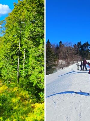 This New Hampshire State Park Has a Ski Mountain, Sandy Beach, and Scenic Chairlift Rides