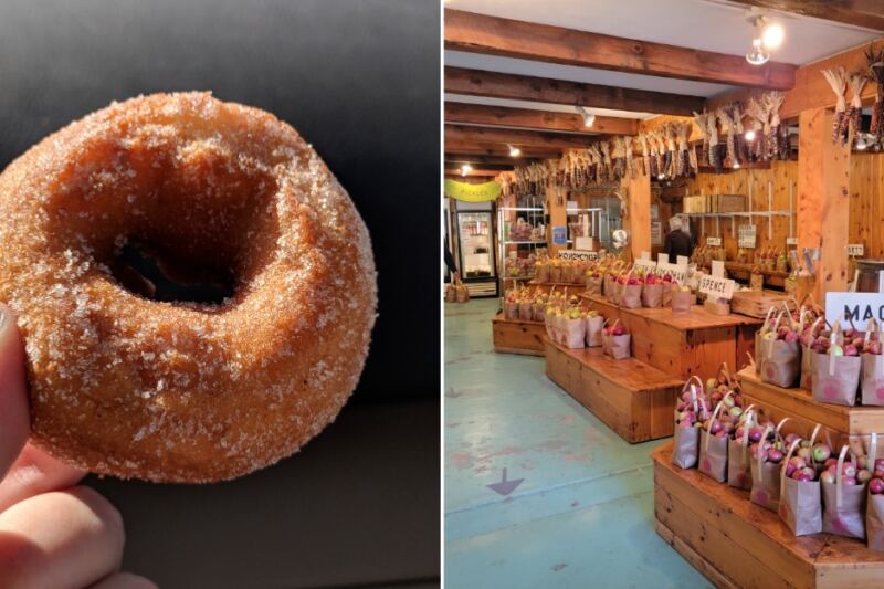 Cider Donuts Taste Better Warm, and These 9 Massachusetts Orchards Fry Them Fresh All Fall