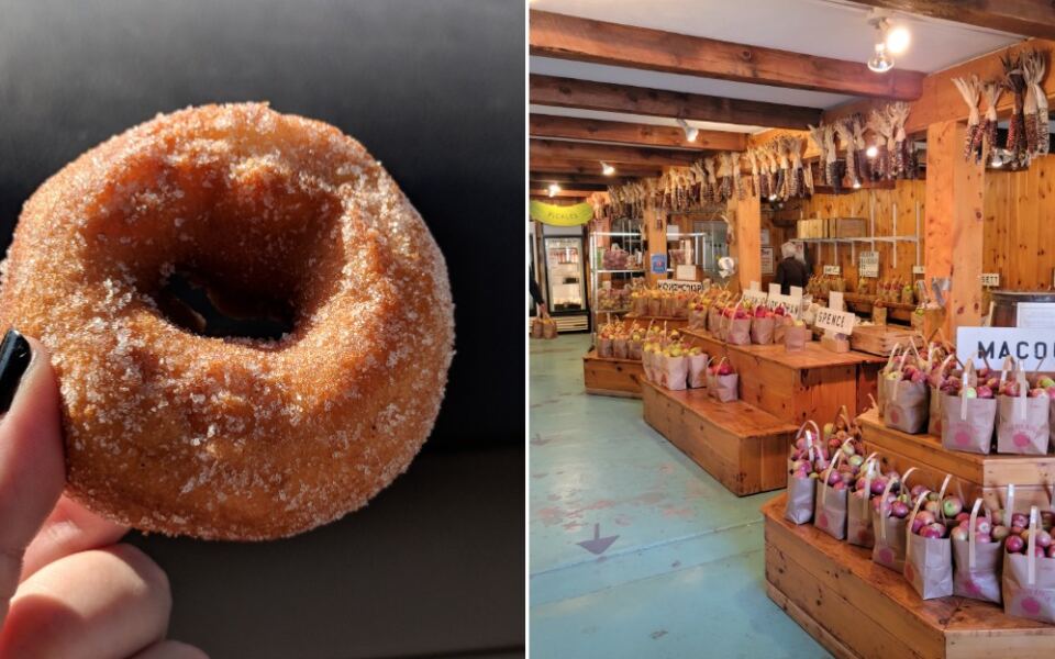 Cider Donuts Taste Better Warm, and These 9 Massachusetts Orchards Fry Them Fresh All Fall