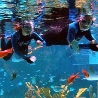 Feed Hungry Stingrays by Hand at This Small Florida Aquarium in the Keys