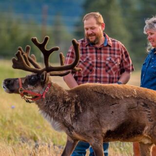 You Can Meet Real Reindeer at These 13 Farms Across America