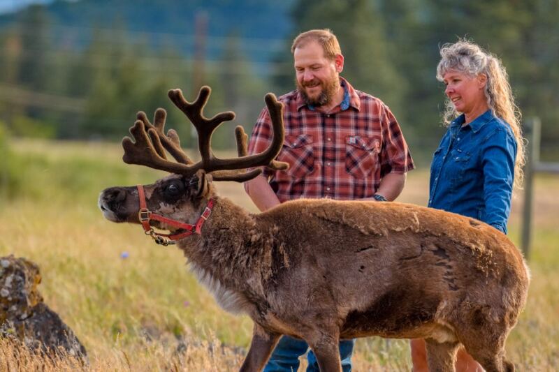 You Can Meet Real Reindeer at These 13 Farms Across America