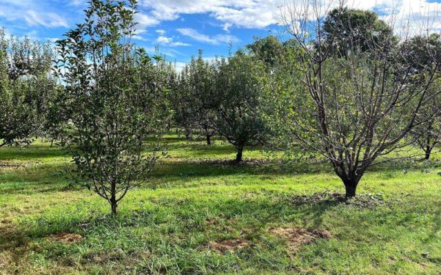 Pick Apples This Fall at the Tennessee Orchard Named One of America’s 10 Best