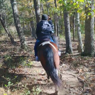 This Virginia Ranch Lets You Ride Horses Straight Into The George Washington National Forest