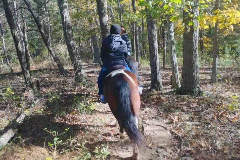 This Virginia Ranch Lets You Ride Horses Straight Into The George Washington National Forest