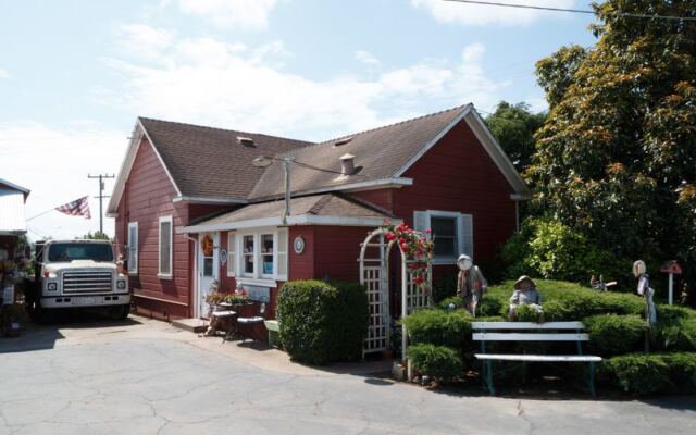 Pick Your Own Blueberries and Grab a Fresh Pie at Gizdich Ranch in Watsonville, California