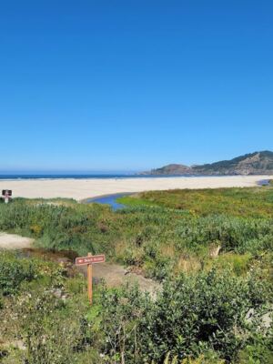 This Oregon Beach Lets You Hunt for Agates on Your Own and Keep Every Stone You Find