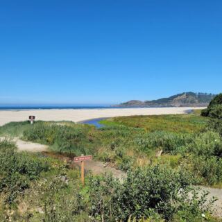 This Oregon Beach Lets You Hunt for Agates on Your Own and Keep Every Stone You Find