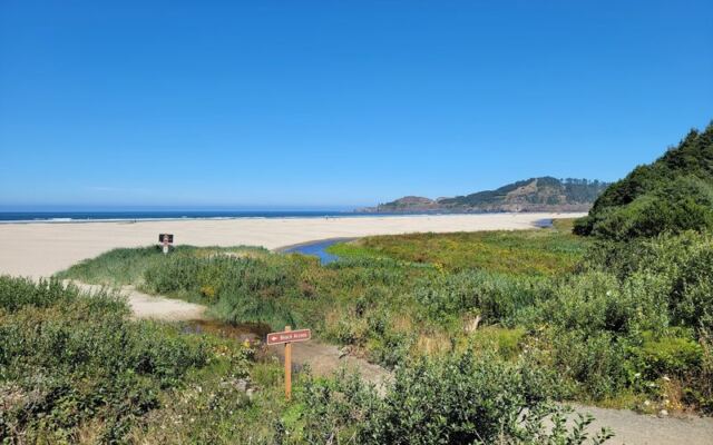 This Oregon Beach Lets You Hunt for Agates on Your Own and Keep Every Stone You Find