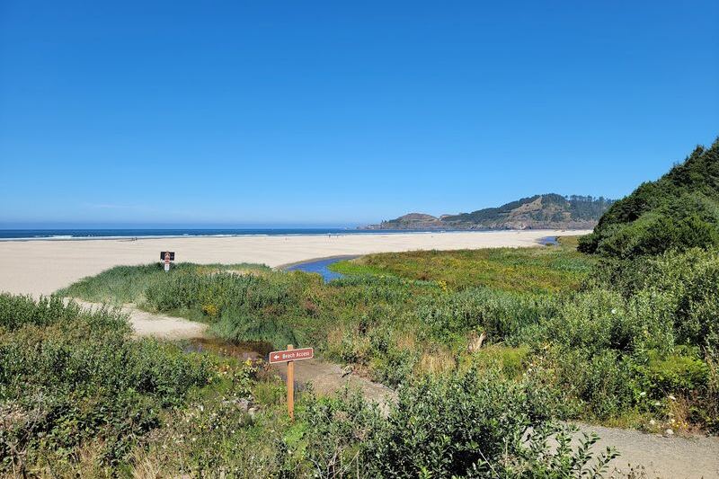 This Oregon Beach Lets You Hunt for Agates on Your Own and Keep Every Stone You Find