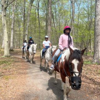 This New Jersey Stable Takes Beginners Through Wooded Trails Instead of Around a Ring