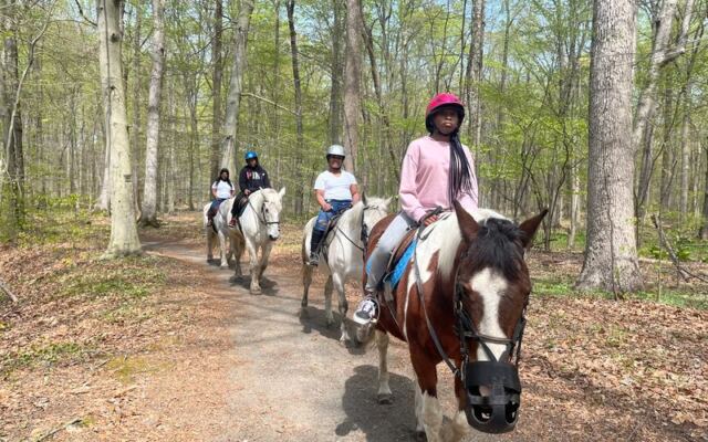 This New Jersey Stable Takes Beginners Through Wooded Trails Instead of Around a Ring