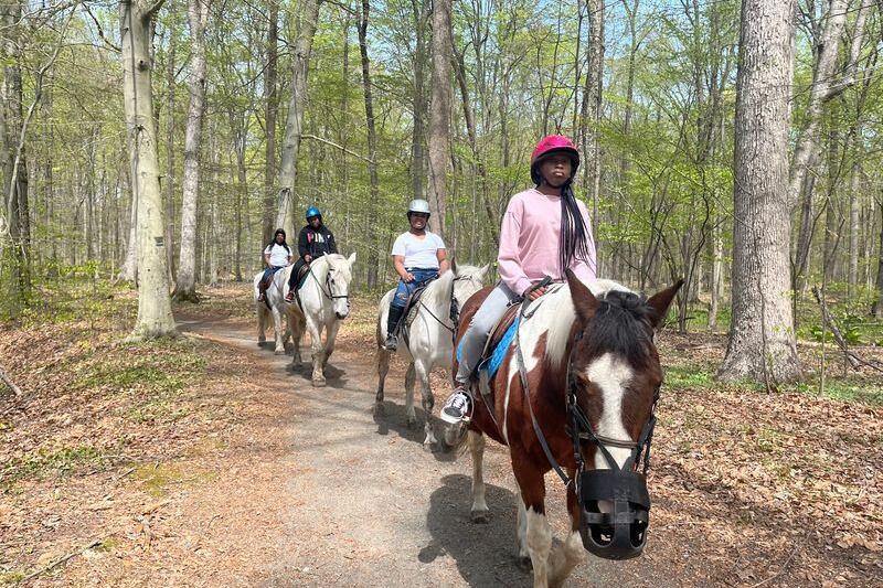 This New Jersey Stable Takes Beginners Through Wooded Trails Instead of Around a Ring