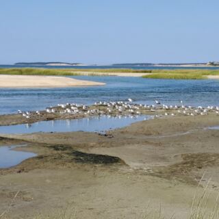 Herons, Salt Marsh Trails, and Quiet Ocean Views Fill This Overlooked Massachusetts Wildlife Sanctuary