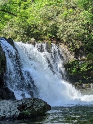 Is This Smoky Mountain Waterfall Tennessee’s Prettiest Free Hike Before the Leaves Drop?