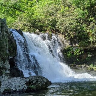 Is This Smoky Mountain Waterfall Tennessee’s Prettiest Free Hike Before the Leaves Drop?