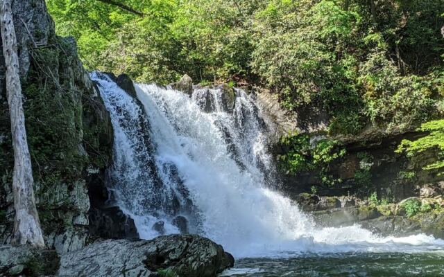 Is This Smoky Mountain Waterfall Tennessee’s Prettiest Free Hike Before the Leaves Drop?