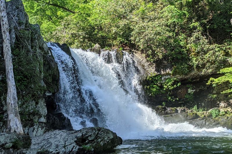 Is This Smoky Mountain Waterfall Tennessee’s Prettiest Free Hike Before the Leaves Drop?
