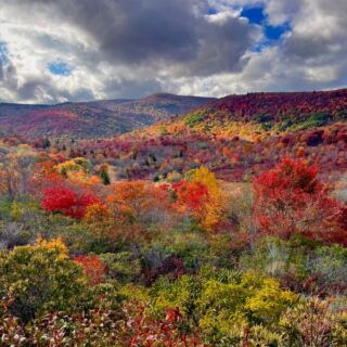 7 Free or Cheap North Carolina Spots Where You See the Milky Way With Your Own Eyes