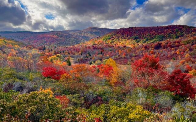 7 Free or Cheap North Carolina Spots Where You See the Milky Way With Your Own Eyes