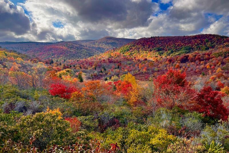 7 Free or Cheap North Carolina Spots Where You See the Milky Way With Your Own Eyes