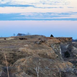 7 Free or Cheap Oklahoma Spots for Stargazing
