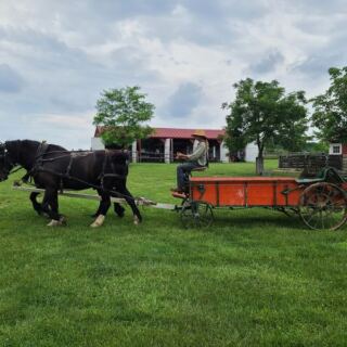 Meet Heritage Farm Animals Up Close at an 1880s Living History Farm in Ashville, Ohio