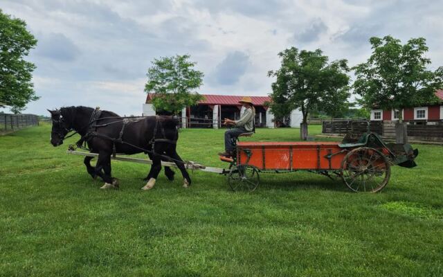 Meet Heritage Farm Animals Up Close at an 1880s Living History Farm in Ashville, Ohio