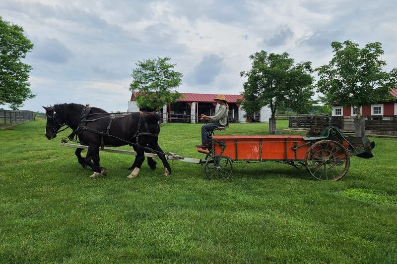 Meet Heritage Farm Animals Up Close at an 1880s Living History Farm in Ashville, Ohio