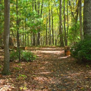 12 Easy West Virginia Hikes for Beginners