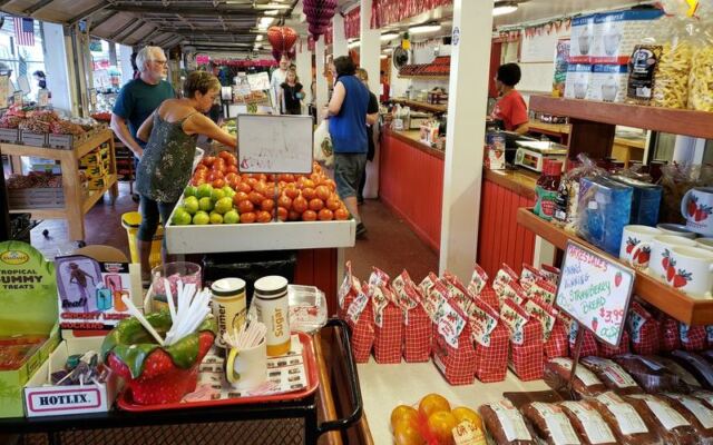 Crack Your Own Boiled Peanuts at This Old Florida Roadside Stand Outside Plant City