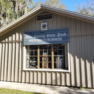 Winter Is Manatee Season, and These 9 Florida Spots Put You Closest to Them