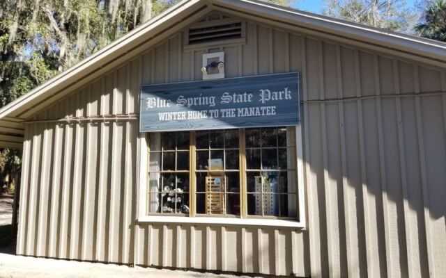 Winter Is Manatee Season, and These 9 Florida Spots Put You Closest to Them