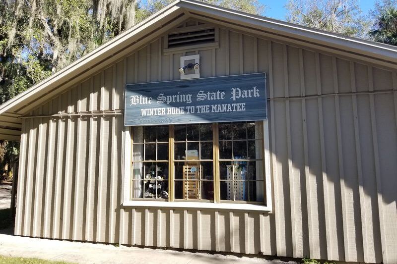 Winter Is Manatee Season, and These 9 Florida Spots Put You Closest to Them