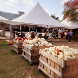 Ever Eaten A Sugar Pie Pumpkin Donut Warm From The Fryer At Patterson Fruit Farm?