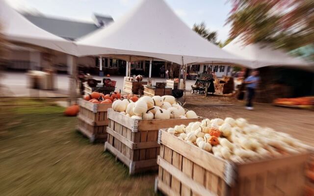 Ever Eaten A Sugar Pie Pumpkin Donut Warm From The Fryer At Patterson Fruit Farm?