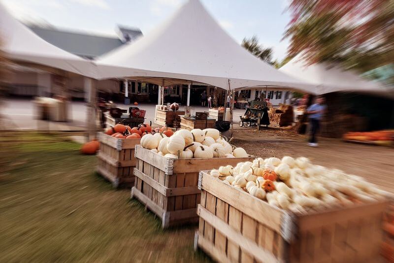 Ever Eaten A Sugar Pie Pumpkin Donut Warm From The Fryer At Patterson Fruit Farm?