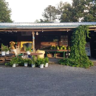 6 South Carolina Farm Stands Where Fall Means Fresh Boiled Peanuts
